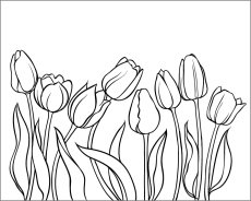 Tulips - T-shirt with motif