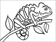 Chameleon - Tričko s motivem