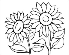 Sunflowers - T-shirt with motif