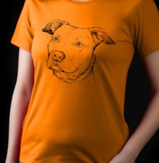 Women's T-shirt American Pit Bull Terrier, drawing