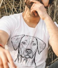 Pánské tričko, Rhodéský ridgeback kresba