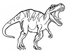 Tyranosaurus - Tričko s motivem