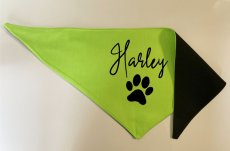 Bandana for dog with his name