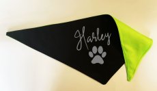 Bandana for dog with his name