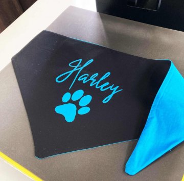 Scarves for dogs
