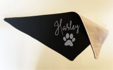 Bandana for dog with his name
