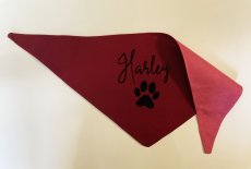Bandana for dog with his name