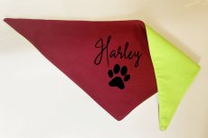 Bandana for dog with his name