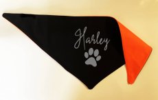 Bandana for dog with his name